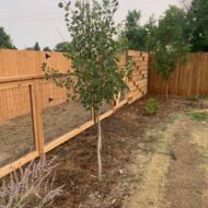 Northern Colorado Fencing